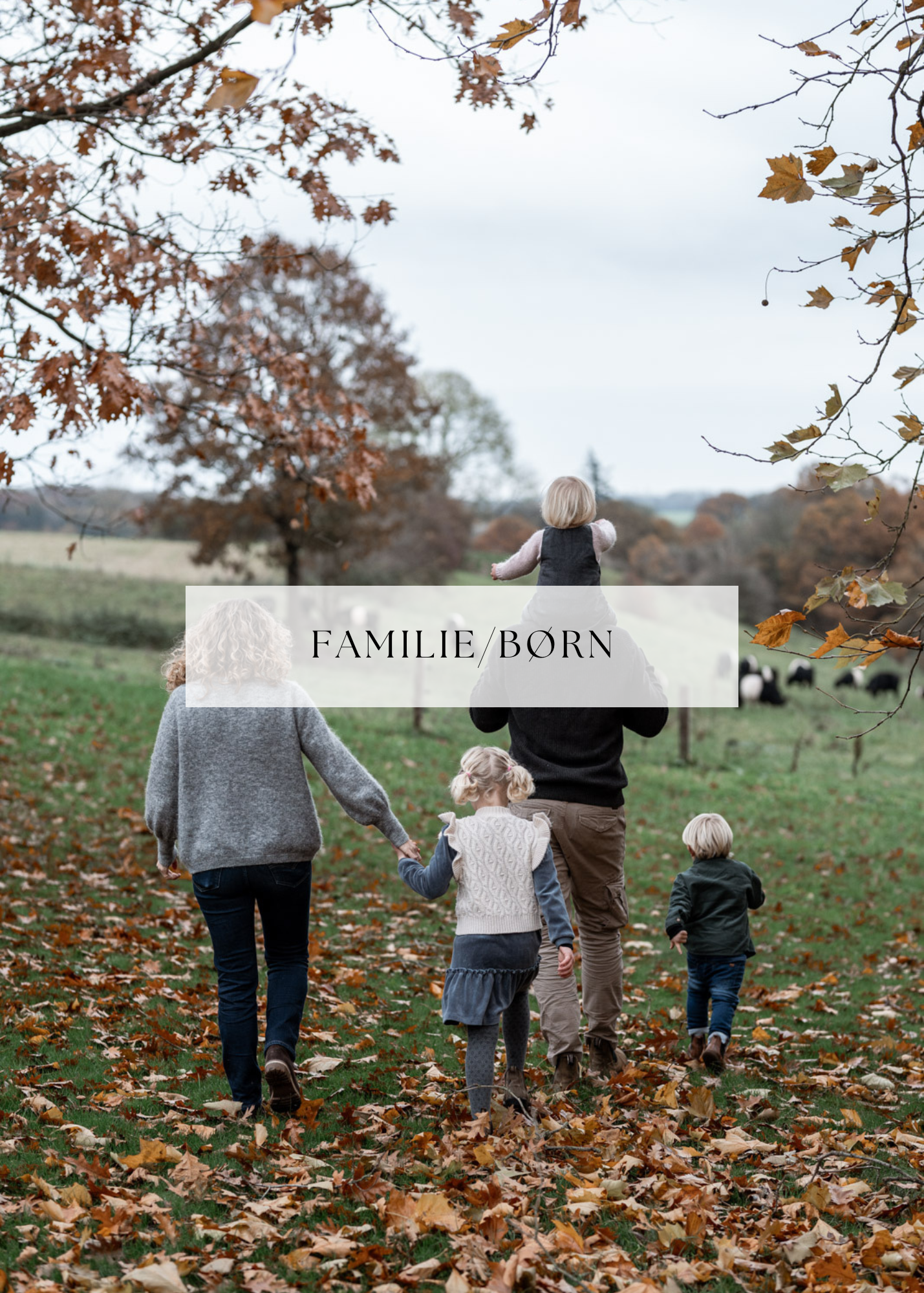 Familie- og børnefotografering