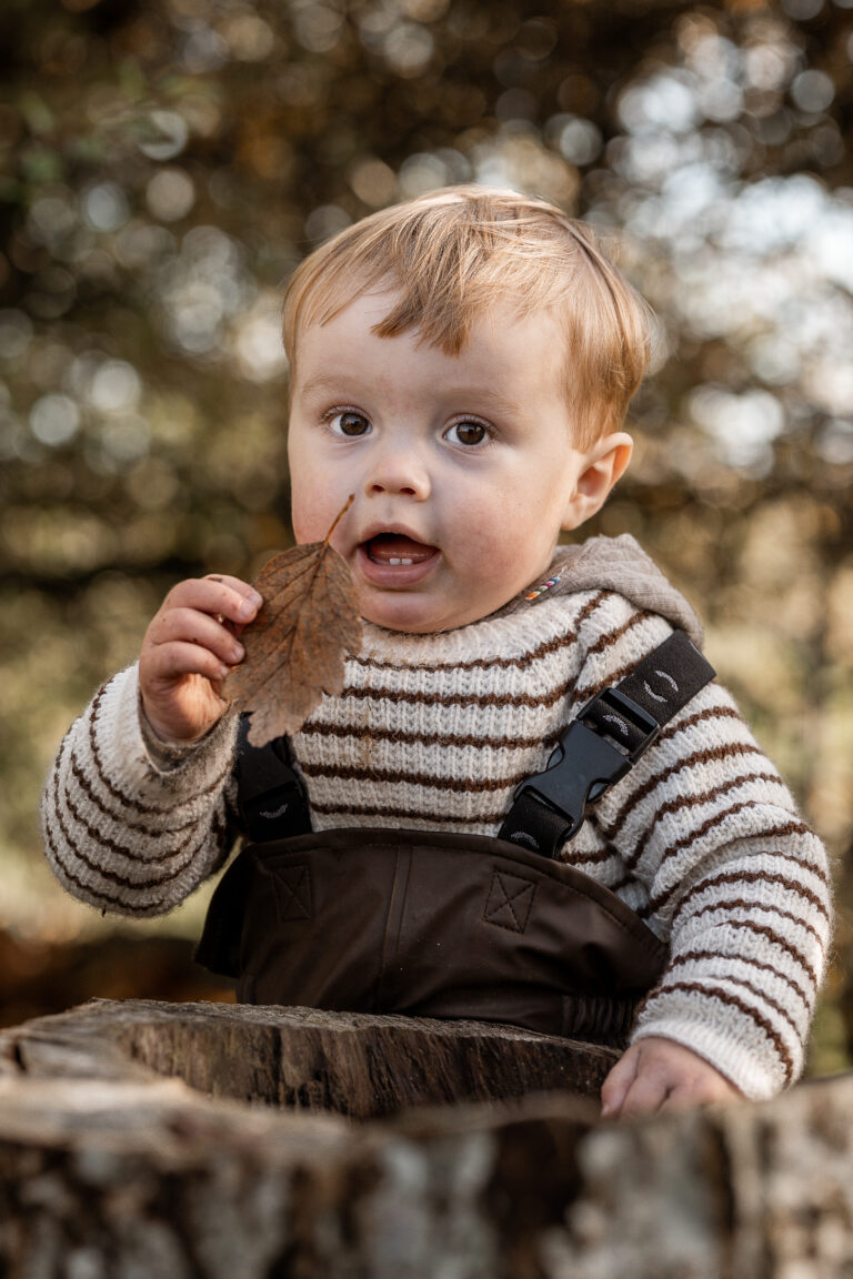 INSTITUTIONSFOTOGRAFERING | INSTITUTIONS FOTOGRAFERING