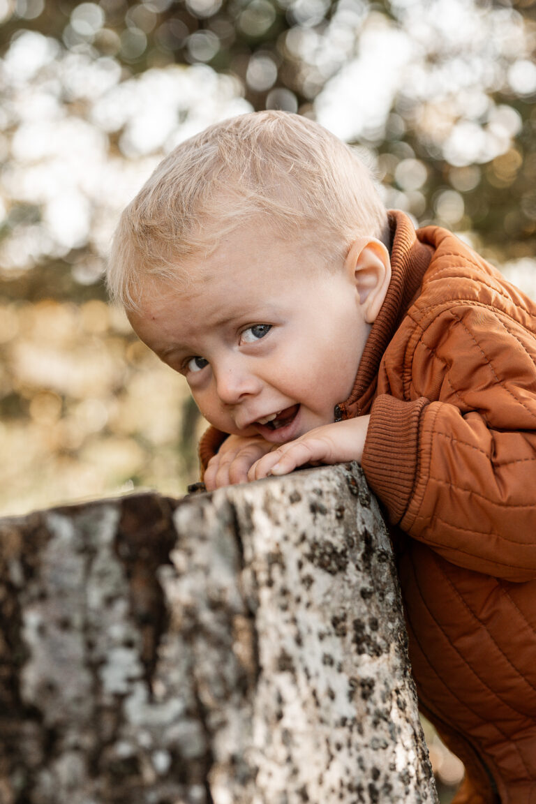 INSTITUTIONSFOTOGRAFERING | INSTITUTIONS FOTOGRAFERING